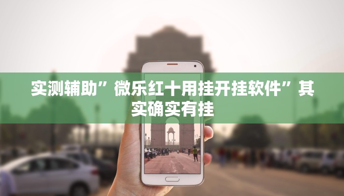 实测辅助”微乐红十用挂开挂软件”其实确实有挂