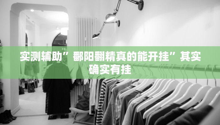 实测辅助”鄱阳翻精真的能开挂”其实确实有挂