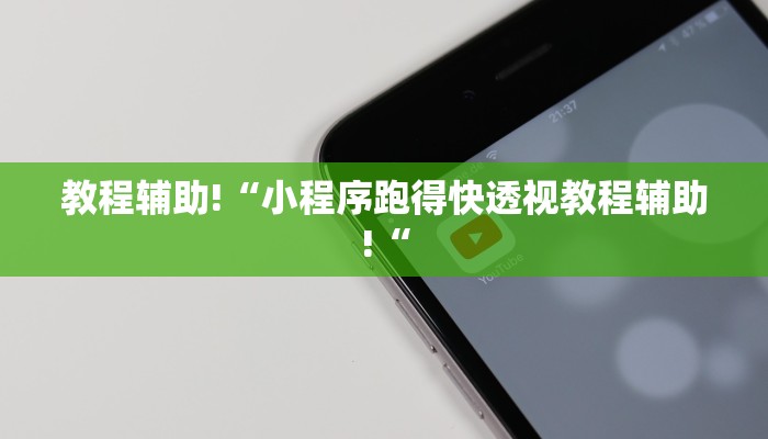 教程辅助!“小程序跑得快透视教程辅助!“