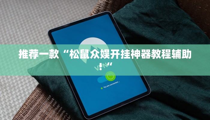 推荐一款“松鼠众娱开挂神器教程辅助!“