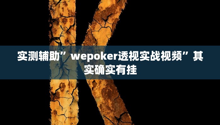 实测辅助”wepoker透视实战视频”其实确实有挂
