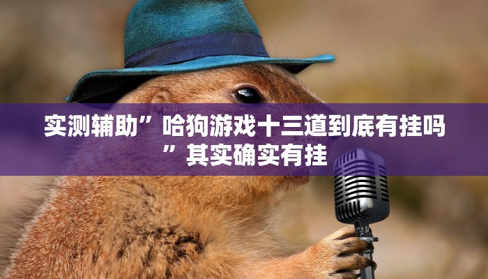 实测辅助”哈狗游戏十三道到底有挂吗”其实确实有挂