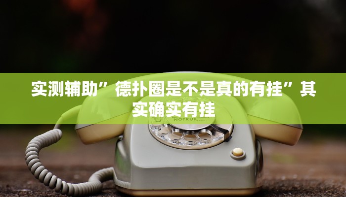 实测辅助”德扑圈是不是真的有挂”其实确实有挂