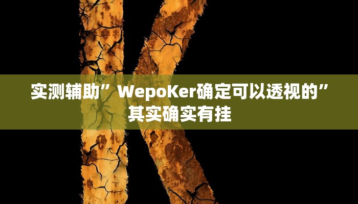 实测辅助”WepoKer确定可以透视的”其实确实有挂