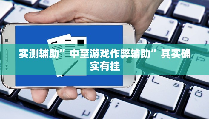 实测辅助”中至游戏作弊辅助”其实确实有挂