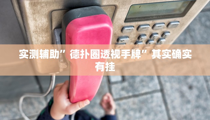 实测辅助”德扑圈透视手牌”其实确实有挂