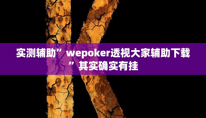 实测辅助”wepoker透视大家辅助下载”其实确实有挂