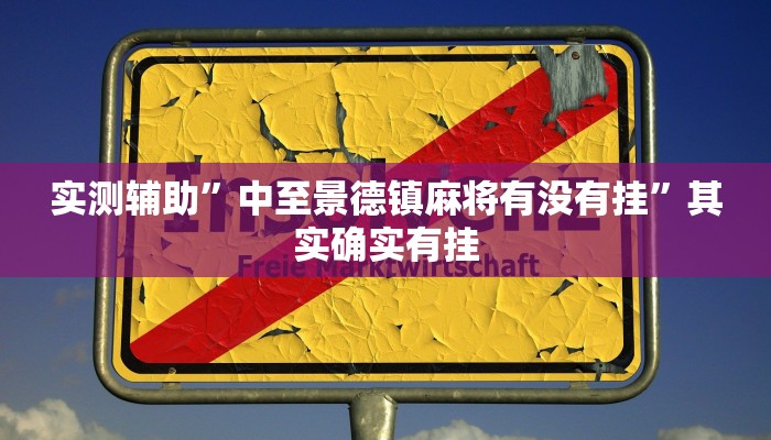 实测辅助”中至景德镇麻将有没有挂”其实确实有挂