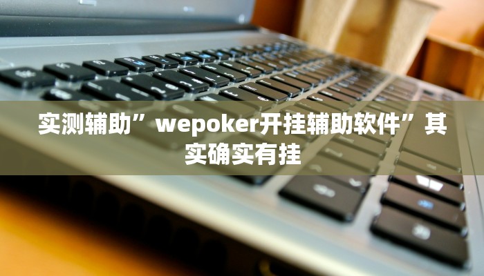 实测辅助”wepoker开挂辅助软件”其实确实有挂