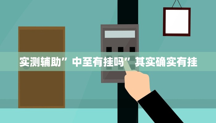 实测辅助”中至有挂吗”其实确实有挂