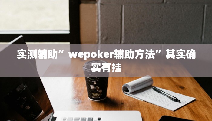 实测辅助”wepoker辅助方法”其实确实有挂