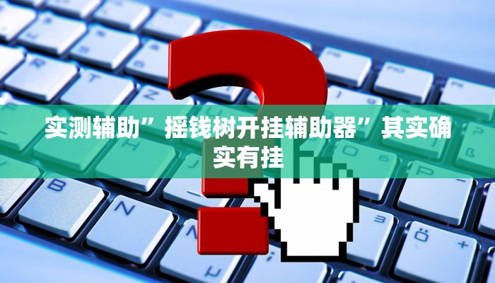 实测辅助”摇钱树开挂辅助器”其实确实有挂