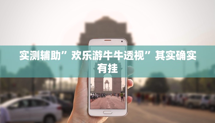 实测辅助”欢乐游牛牛透视”其实确实有挂