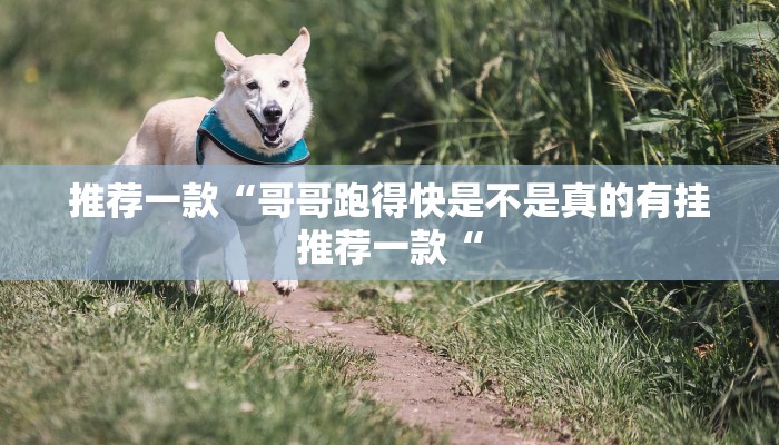 推荐一款“哥哥跑得快是不是真的有挂推荐一款“