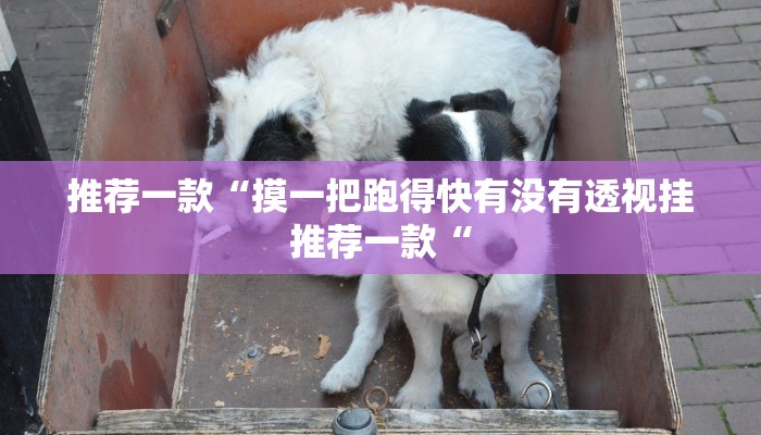 推荐一款“摸一把跑得快有没有透视挂推荐一款“