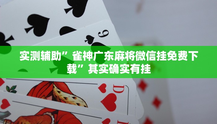 实测辅助”雀神广东麻将微信挂免费下载”其实确实有挂