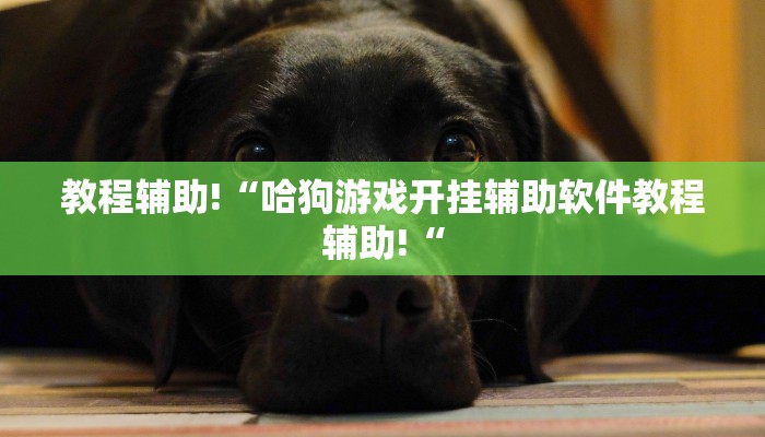 教程辅助!“哈狗游戏开挂辅助软件教程辅助!“