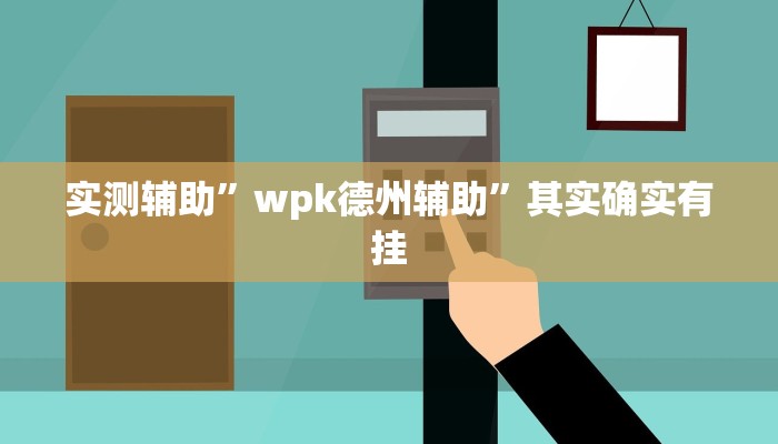 实测辅助”wpk德州辅助”其实确实有挂