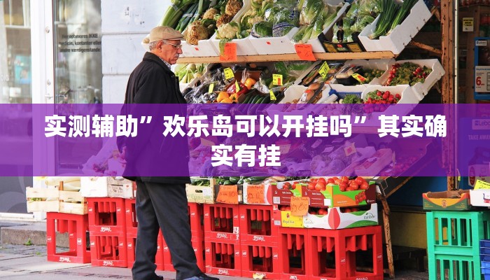实测辅助”欢乐岛可以开挂吗”其实确实有挂