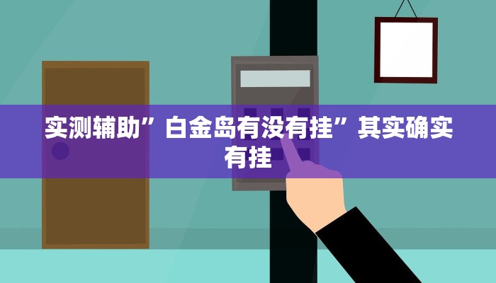 实测辅助”白金岛有没有挂”其实确实有挂