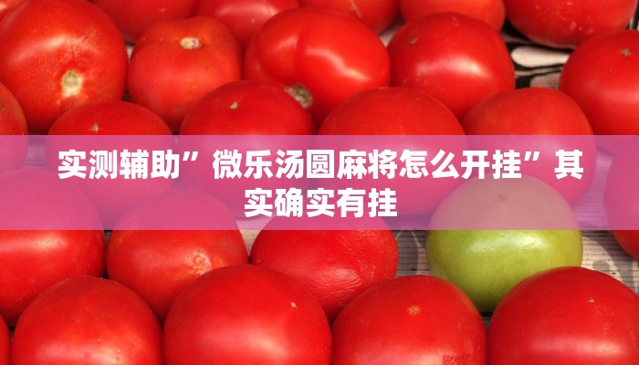 实测辅助”微乐汤圆麻将怎么开挂”其实确实有挂