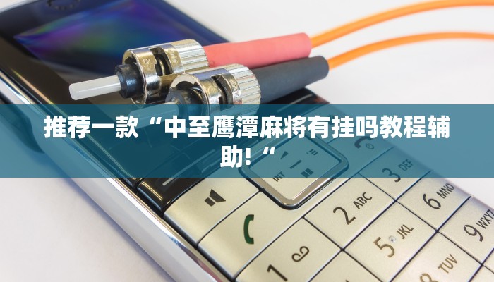 推荐一款“中至鹰潭麻将有挂吗教程辅助!“