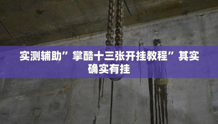 实测辅助”掌酷十三张开挂教程”其实确实有挂