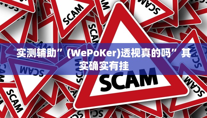 实测辅助”(WePoKer)透视真的吗”其实确实有挂