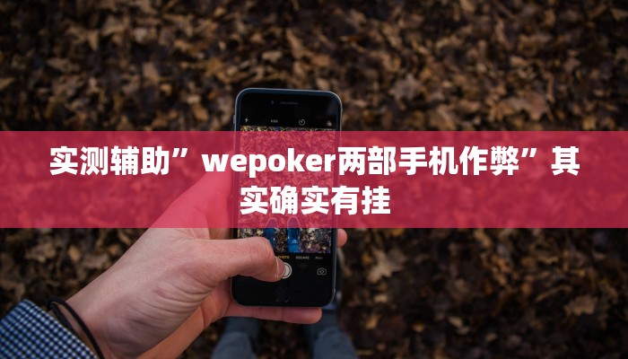 实测辅助”飞鹰大厅辅助透视挂”其实确实有挂