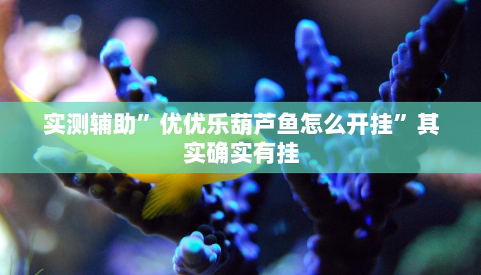实测辅助”优优乐葫芦鱼怎么开挂”其实确实有挂