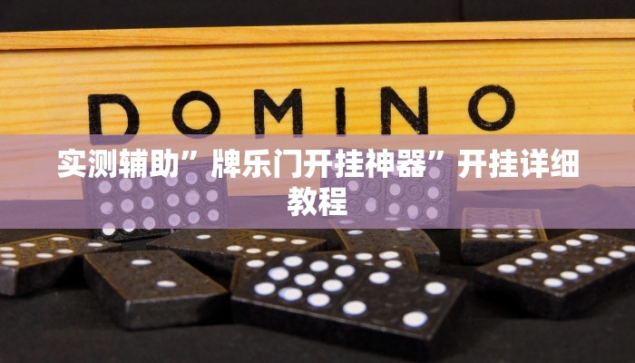 实测辅助”牌乐门开挂神器”开挂详细教程