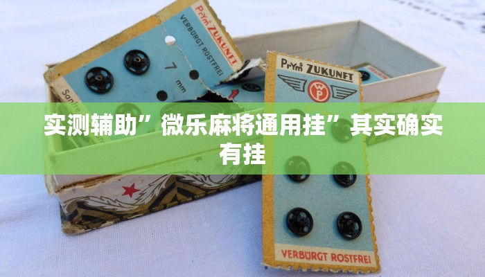 实测辅助”微乐麻将通用挂”其实确实有挂