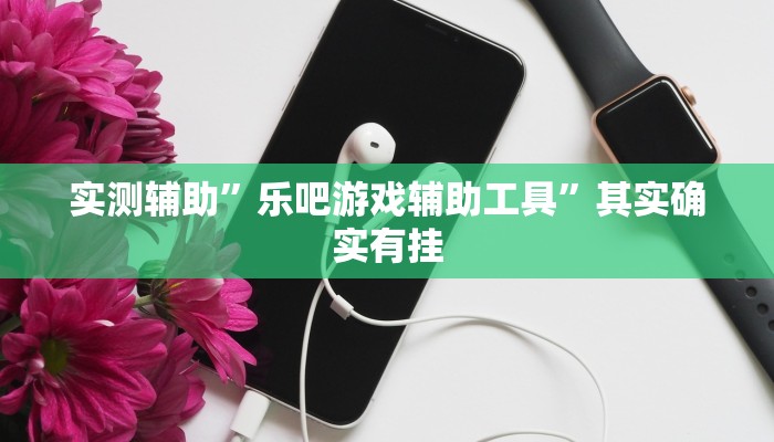 实测辅助”乐吧游戏辅助工具”其实确实有挂
