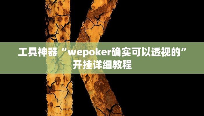 工具神器“wepoker确实可以透视的”开挂详细教程
