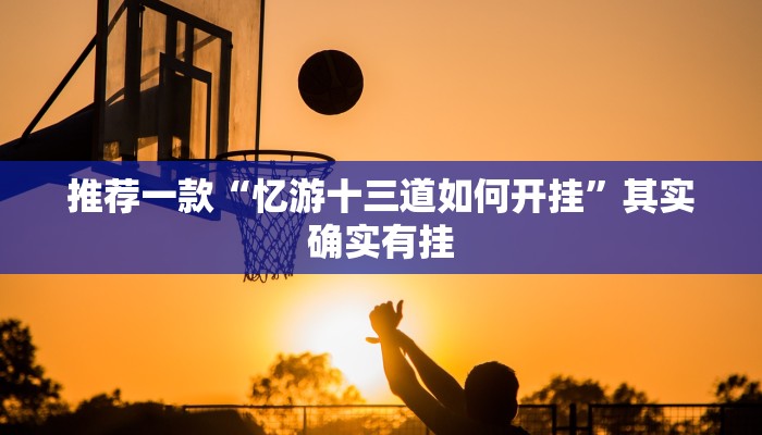 推荐一款“忆游十三道如何开挂”其实确实有挂