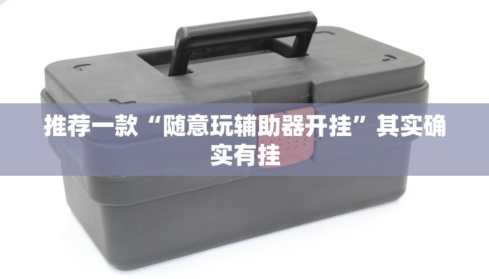 推荐一款“随意玩辅助器开挂”其实确实有挂