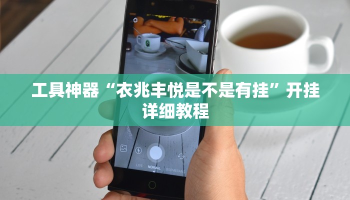 工具神器“衣兆丰悦是不是有挂”开挂详细教程