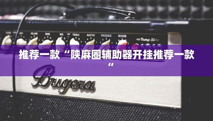 推荐一款“陕麻圈辅助器开挂推荐一款“