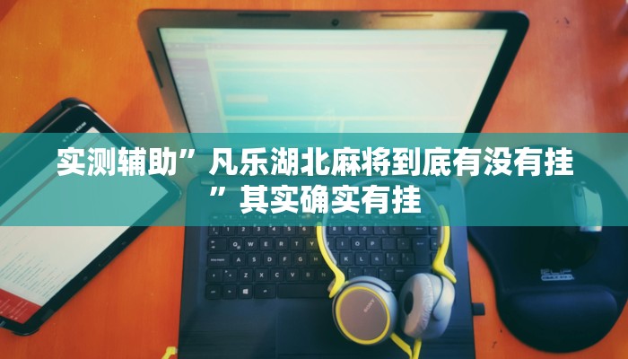 实测辅助”凡乐湖北麻将到底有没有挂”其实确实有挂