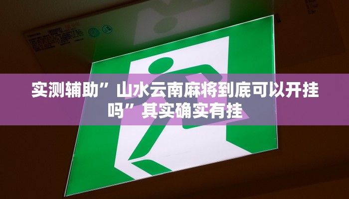 实测辅助”山水云南麻将到底可以开挂吗”其实确实有挂