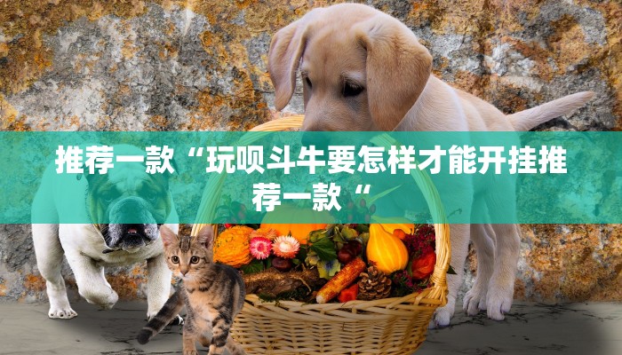 推荐一款“玩呗斗牛要怎样才能开挂推荐一款“