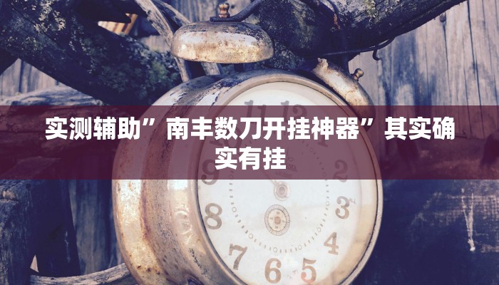实测辅助”南丰数刀开挂神器”其实确实有挂