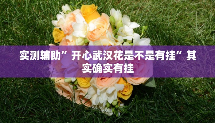 实测辅助”开心武汉花是不是有挂”其实确实有挂