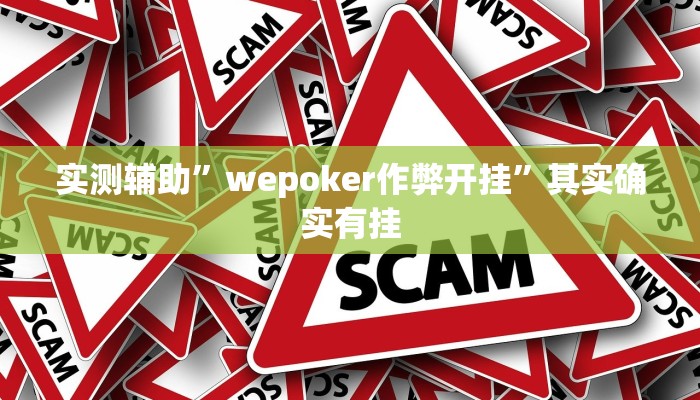 实测辅助”wepoker作弊开挂”其实确实有挂