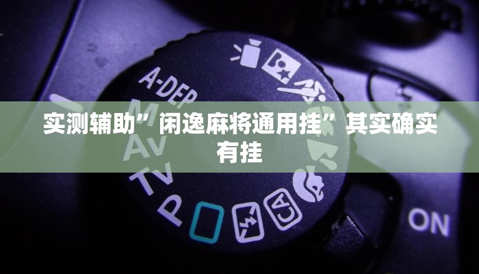 实测辅助”闲逸麻将通用挂”其实确实有挂