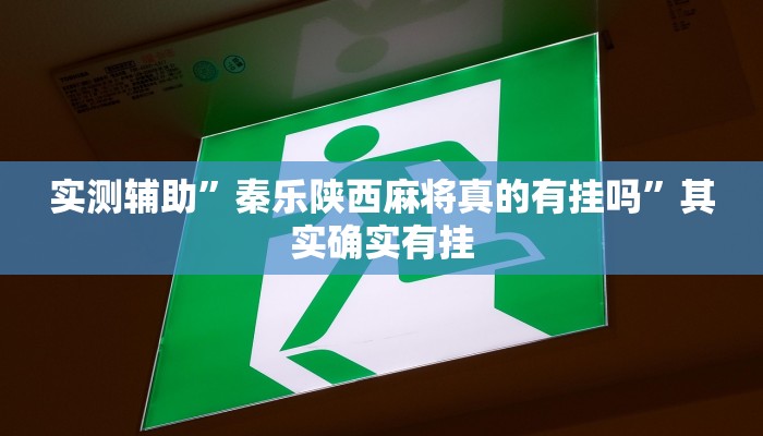 实测辅助”秦乐陕西麻将真的有挂吗”其实确实有挂