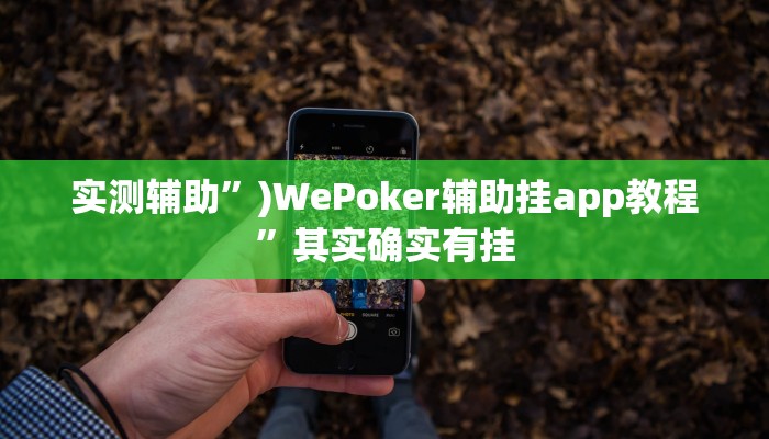 实测辅助”)WePoker辅助挂app教程”其实确实有挂