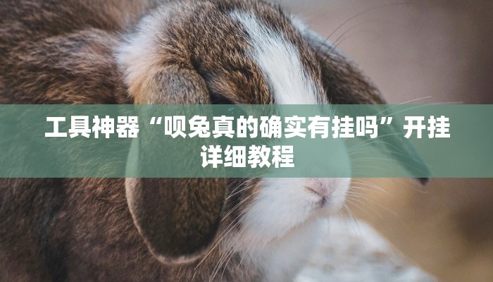 实测辅助”哪吒重生确实真的有挂”开挂详细教程