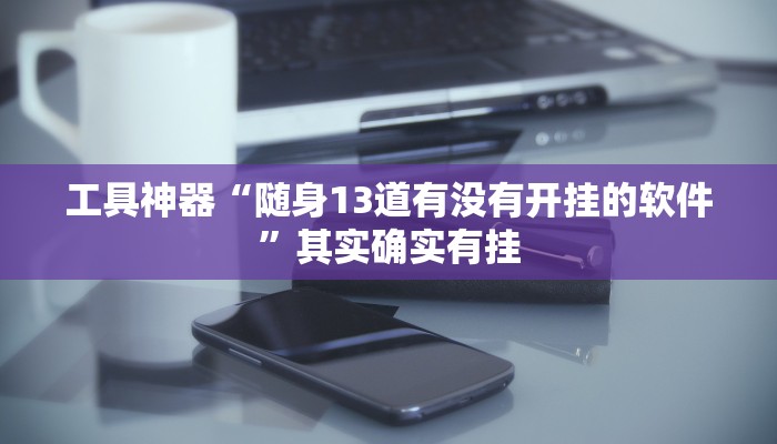 工具神器“随身13道有没有开挂的软件”其实确实有挂