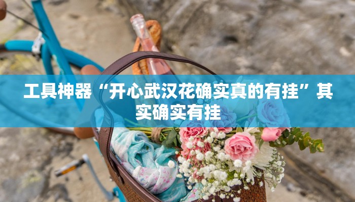 工具神器“开心武汉花确实真的有挂”其实确实有挂